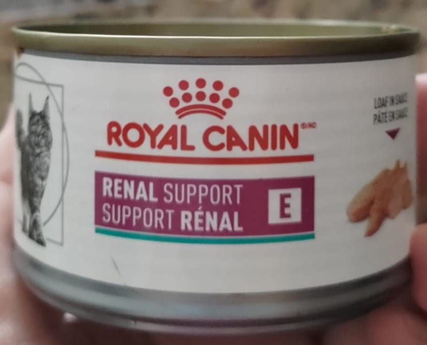 Royal Canin Renal Support Diet – Struggling with Appetite and Weight Gain